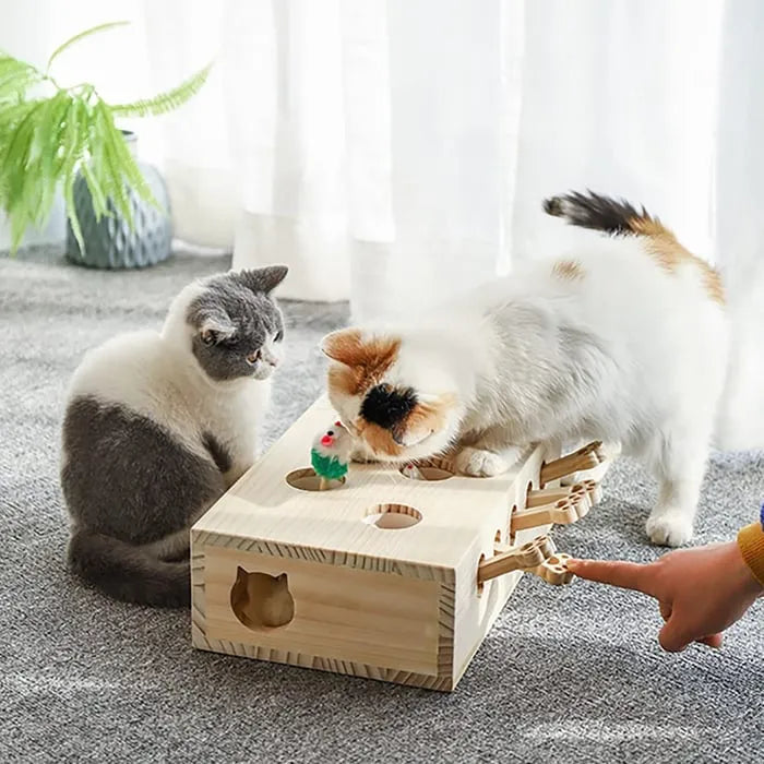 Handmade Cat Box Toy